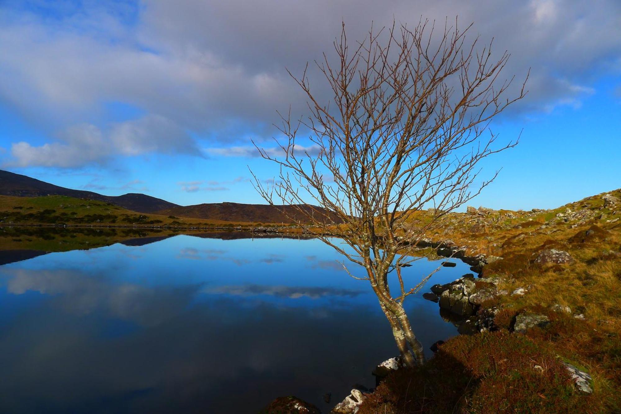 Keanes Of Curraheen, Bar, Restaurant & Accommodation トラリー エクステリア 写真