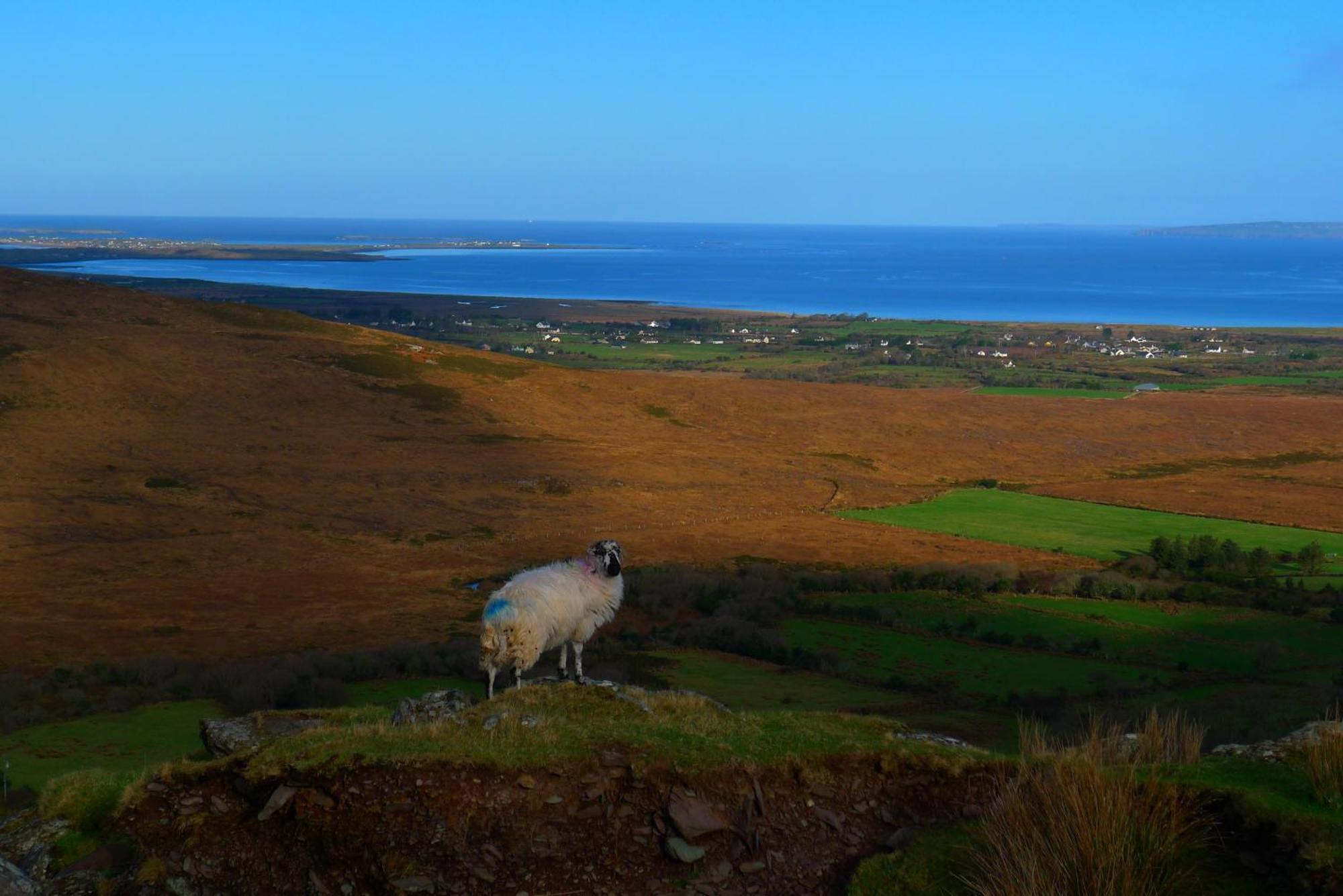 Keanes Of Curraheen, Bar, Restaurant & Accommodation トラリー エクステリア 写真