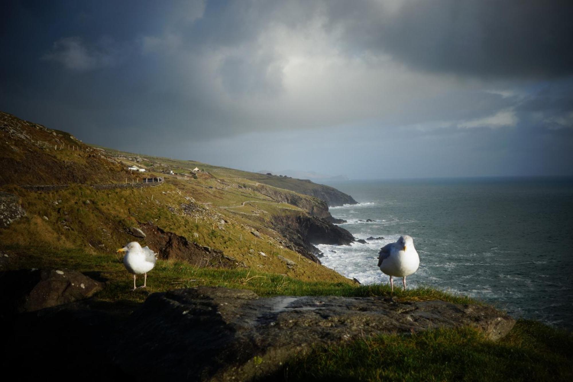 Keanes Of Curraheen, Bar, Restaurant & Accommodation トラリー エクステリア 写真
